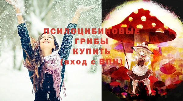 PSILOCYBIN Нефтекумск